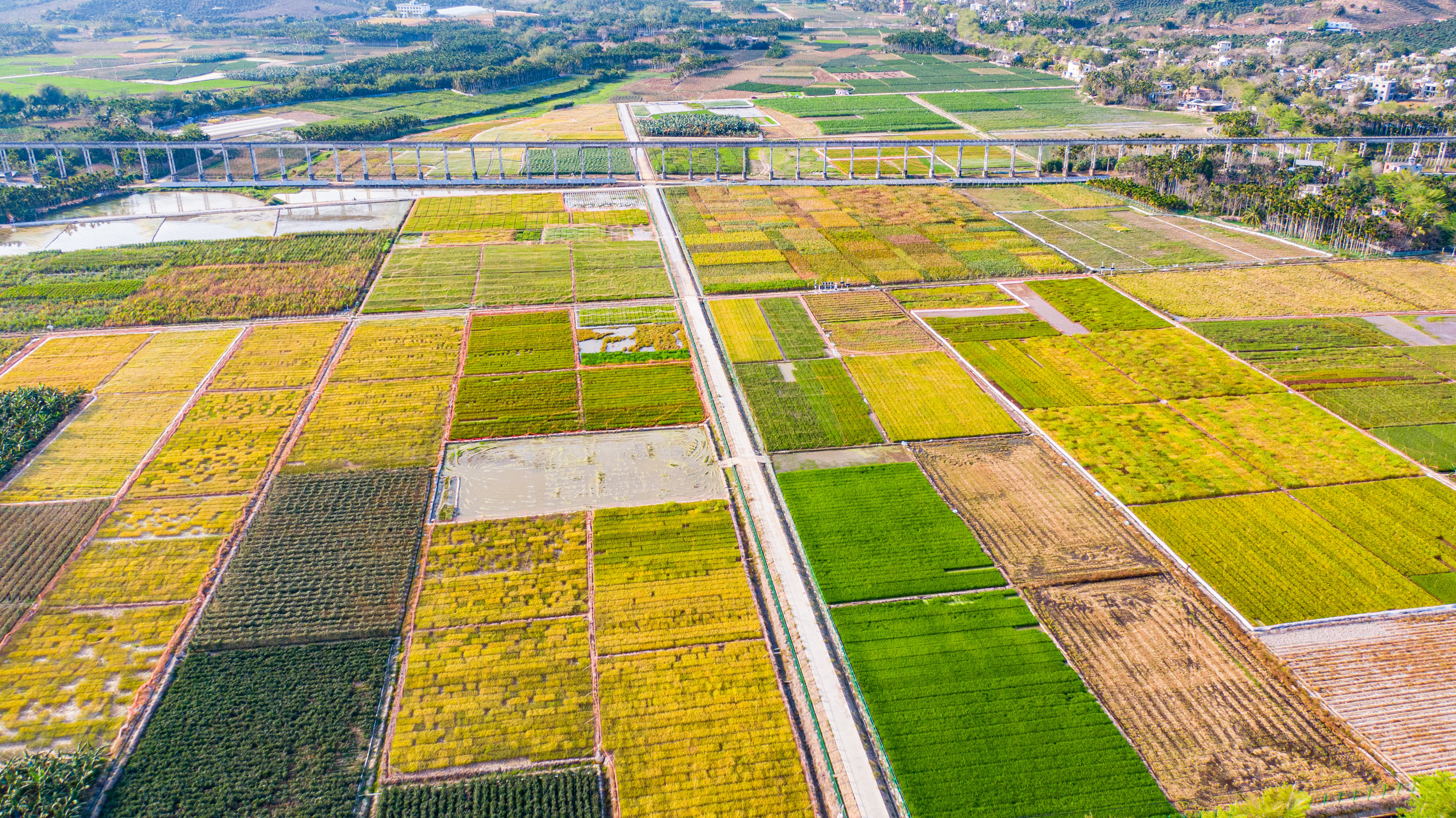中国种子南繁硅谷大会